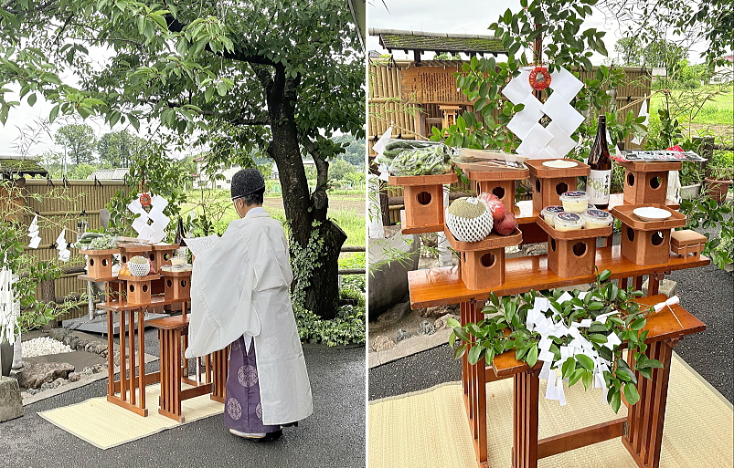 夏越の大祓
