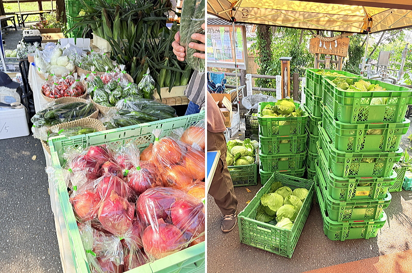 嬬恋野菜直売会